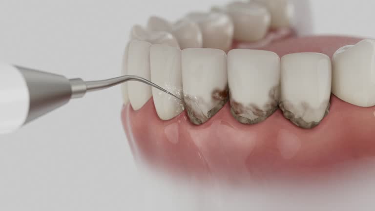 Reliable Dental contractor in Eagan, MN by Dentist Open Now